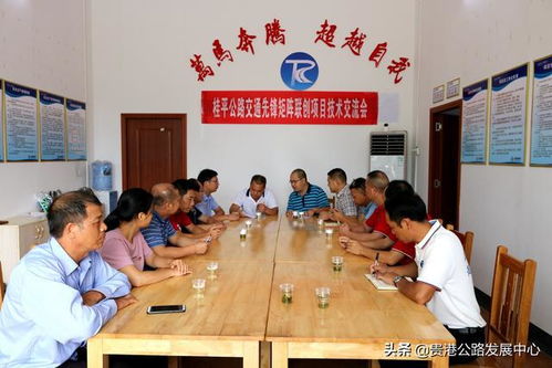 加强技术交流，促进业务发展——技术咨询的重要性与实践