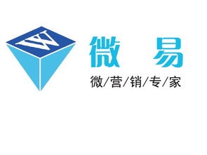 聚焦数字化转型 长沙微易的技术咨询之道
