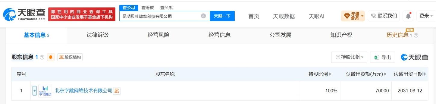 构筑智慧基石 信息系统集成服务中的软件开发价值与融合之路